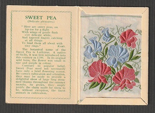 Kensitas silk flower - , medium