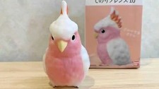 Japan Pink Cockatoo Major