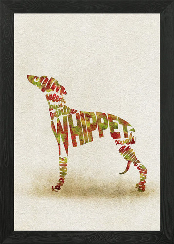 English whippet snap dog - english,