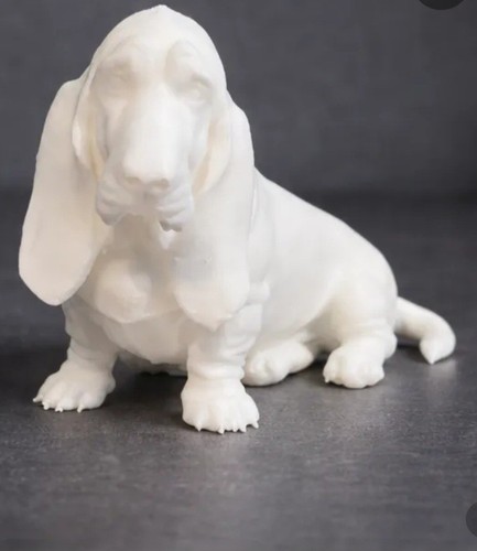 Basset hound printed - basset,