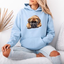 Mastiff Puppy Dog Animals