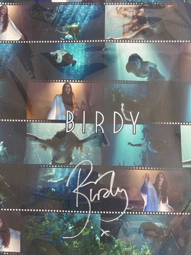 Birdy beautiful lies promo - -,