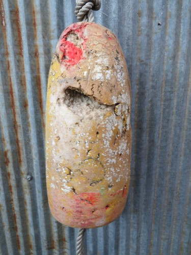Authentic medium dungeness - authentic,