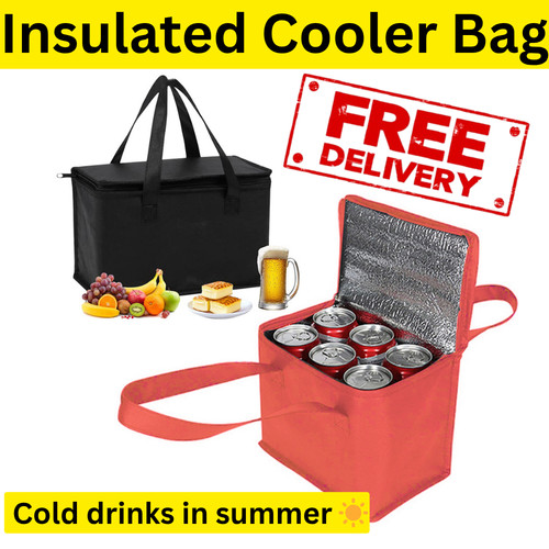 Insulated lunch cooler - insulated, bag