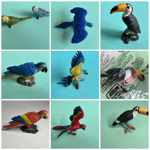 Schleich parrot toucan - &, toucan-