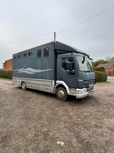 Horse box daf 5ton - horse,