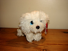 LABRADOODLE DOG.CUDDLE