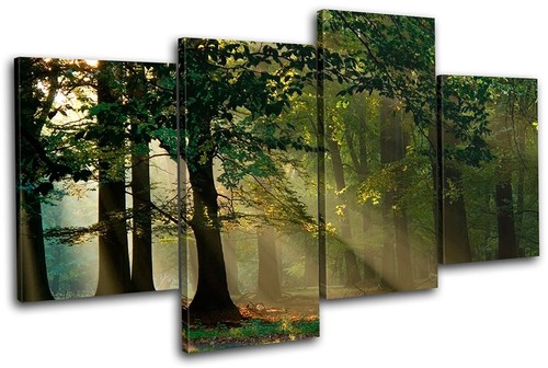 Forest landscapes multi canvas - forest,
