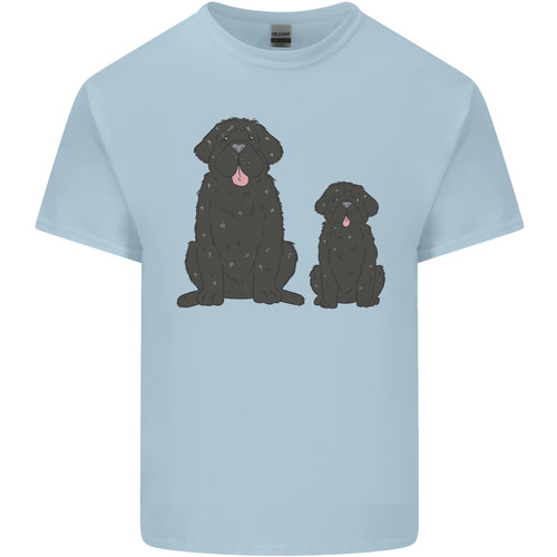 Newfoundland dog with - newfoundland,