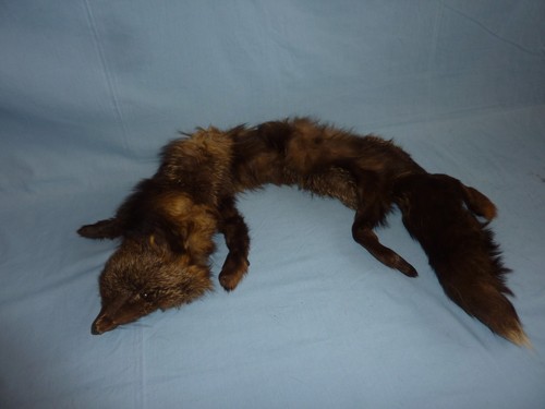 Fox fur stole - fox, scarf