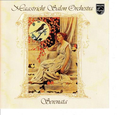 Maastricht salon orchestra - salon,