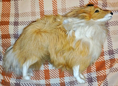 Vintage collie rough - vintage,