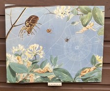 Eileen Soper Print The 3 Bad Imps