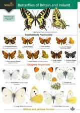 Butterflies of Britain and