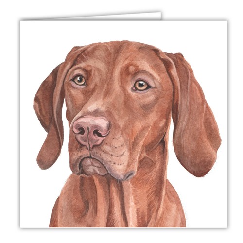 Hungarian vizsla greetings - vizsla,