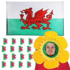 WELSH SUPPORTER SET WALES