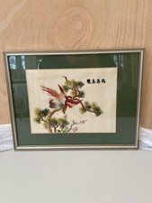 Asian Chinese Exotic Birds