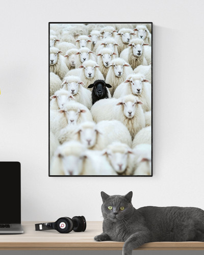 Black sheep photography - black,