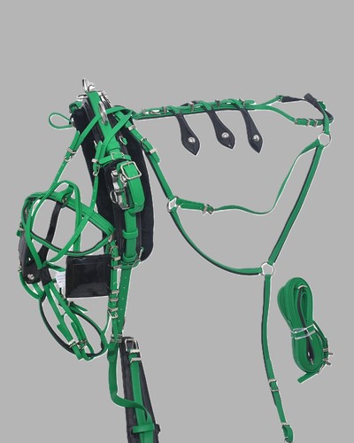 Pvc quick hitch trotting - pvc,