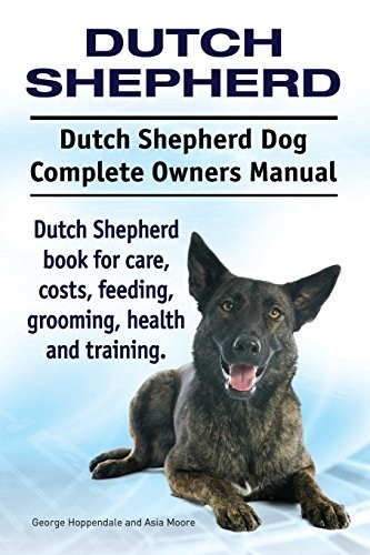 Dutch shepherd - dutch, shepherd.
