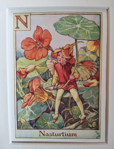 Vintage flower fairies print - print, &