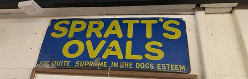 Spratts oval dog biscuits - dog,