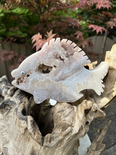 Pink amethyst druzy angel fish - angel,