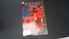 SPIDER-MAN - WITH GREAT POWER