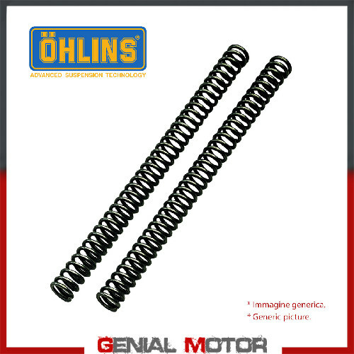 Ohlins spring fork - fork, springs