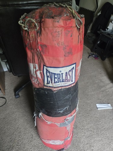 Everlast heavy bag - everlast, lb