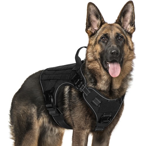 Rabbitgoo tactical pull - rabbitgoo,