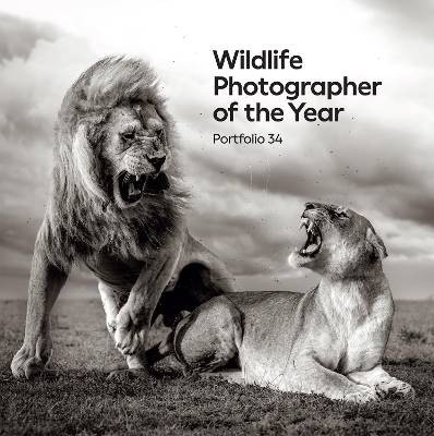 Wildlife photographer the - wildlife,