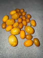 Vintage butterscotch egg yolk - vintage,