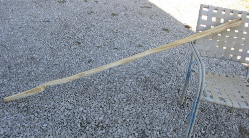 Hackberry bow - hackberry,
