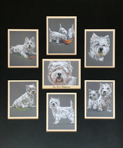 The west highland white - west,