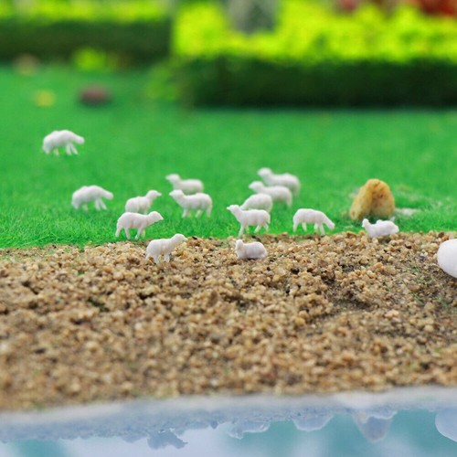 Model sheep white - model,