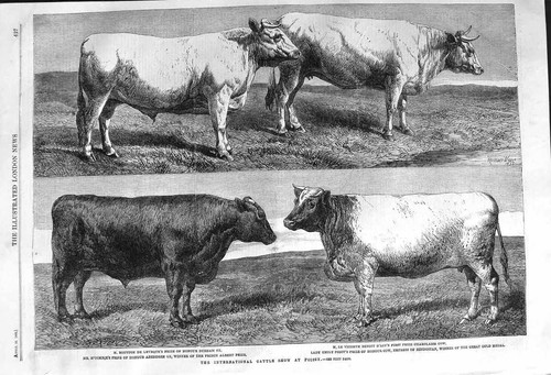 Original old antique - antique, print