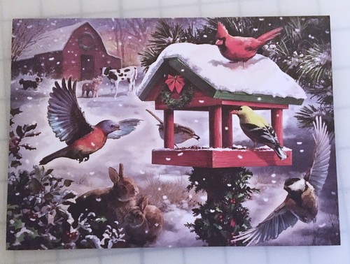 Beautiful birds snow scenes - birds,