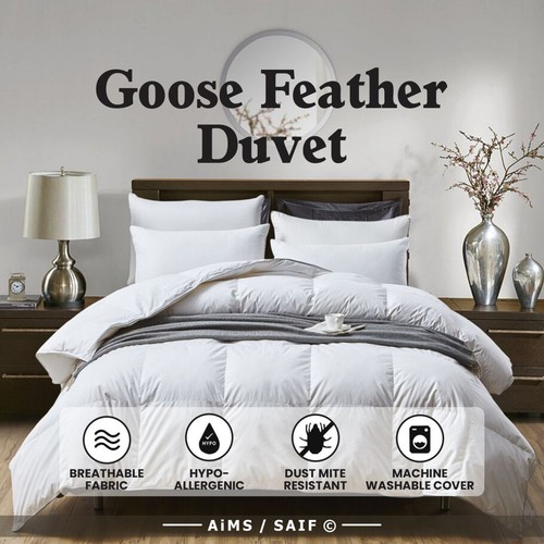 Luxury goose feather down - goose,