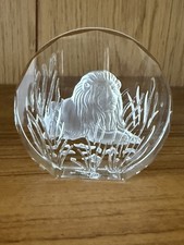 Wildlife Crystals - The