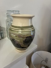 Beautiful Boscastle Roger