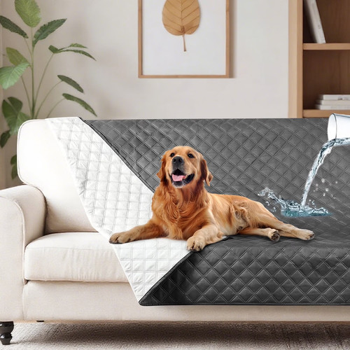 Sofa cover slipcover 100 - sofa,