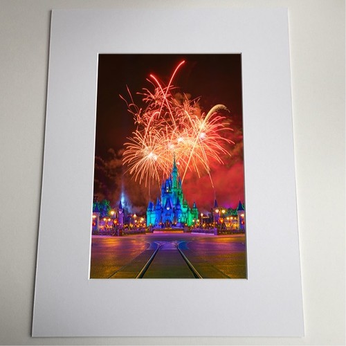 Deserted cinderella castle - deserted,