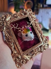 Mouse Taxidermy Framed Whimsy