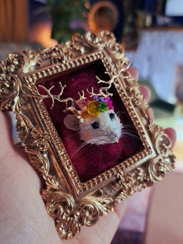 Mouse taxidermy framed whimsy - taxidermy,