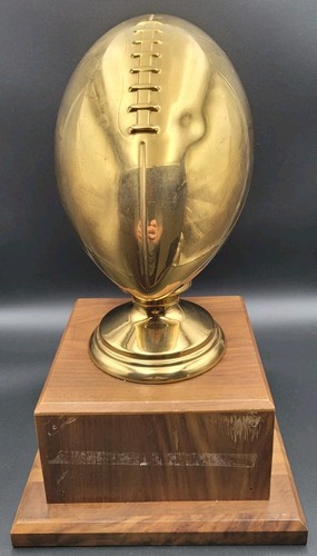 Fantasy football trophy - fantasy,