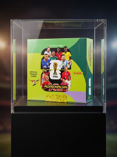 Panini adrenalyn world cup - world,