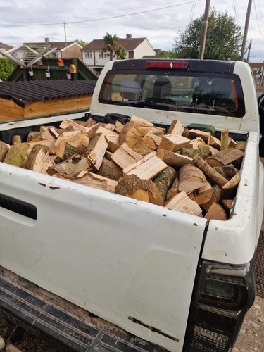 Seasoned ash logs for sale - for,