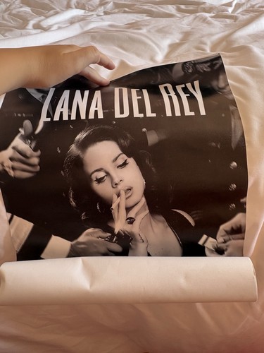 Lana del rey art wall - rey,