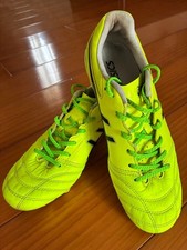 ASICS DS Light Pro Safety